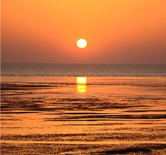 imgi_22_wfxi0nrfre96zg7btxfz