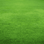 imgi_9_Untitled-design-2